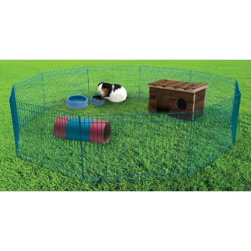 Parc Critter Playtime Living World