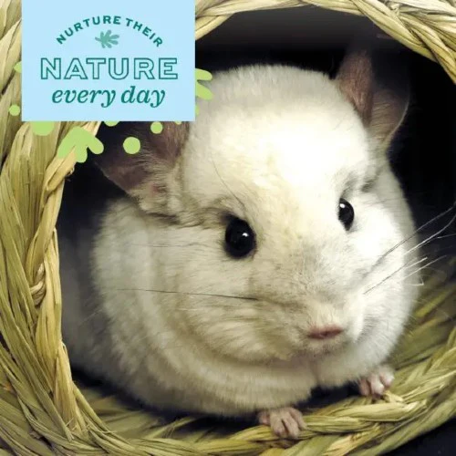 Oxbow Timothy Club - Abri de foin Timothy – Image 5